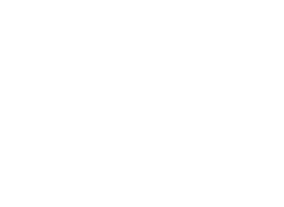 Consultor de IA